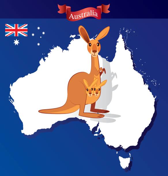 австралия и кенгуру - newcastle stock illustrations