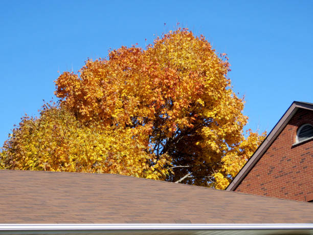 istock Thornhill the autumn picture 2016 816533014