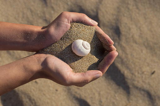 Close-up of woman's hands full of golden sand holding white snail shell. Golden beach sand in background. Sunlight and shadows. Summer vacation photo.