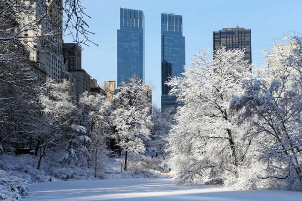 5,400+ Central Park Snow Stock Photos, Pictures & Royalty-Free Images ...