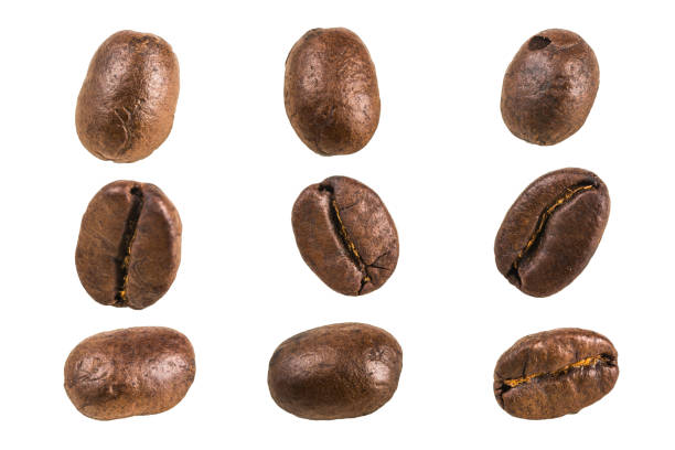 coffee bean on white background stock photo