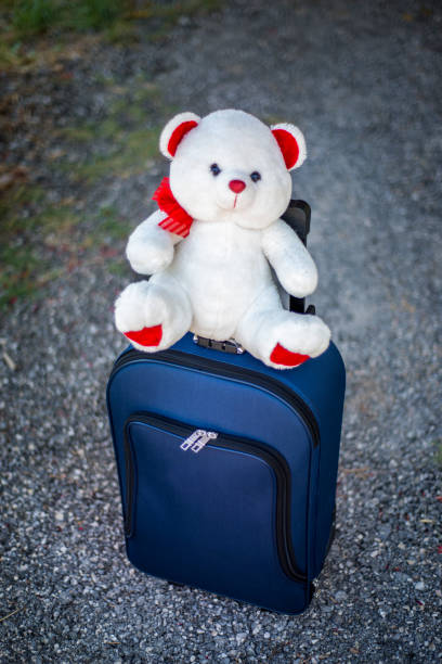 High angle view of single suitcase on floor with bear toy.  Horizontal composition. Image taken with Nikon D800 and developed from Raw format.