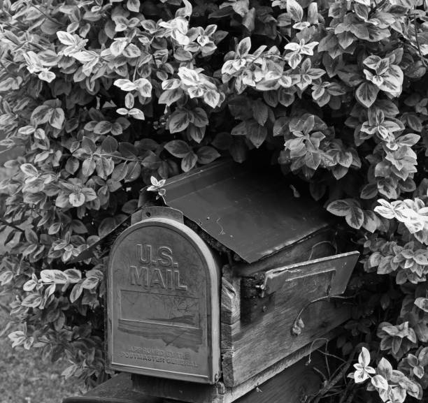 istock Mailbox in a Bush in the Rural Countryside 816580754