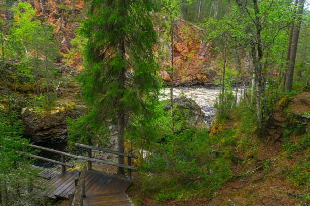 istock Kiutakongas rapids in Oulanka National Park 816587888