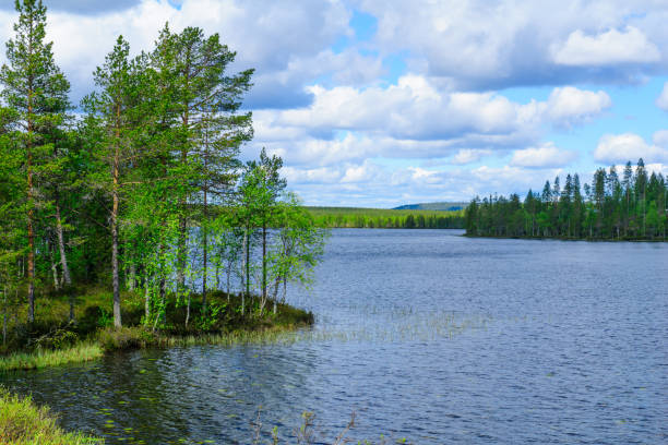 istock Lower Posiolampi lake in Lapland 816594896