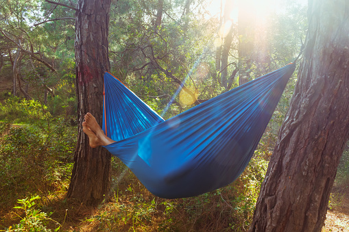Young man resting inside blue hammock in green forest, in Antalya, Olympos. Hammock is between two pine trees. Camping in summer concept.