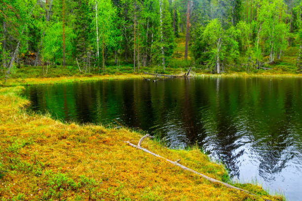 Vaide Pond near Kolka in the Kurzeme region of Latvia