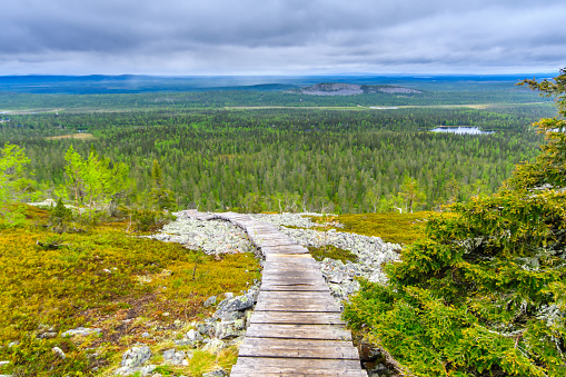 Landscape from the summit of Ukko-Luosto Fell, in Pyha-Luosto National Park, Lapland, Finland