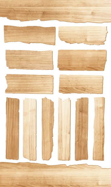 Vector wood plank Vector wood plank isolated on white background wood stock illustrations