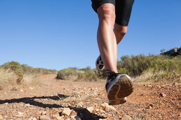 istock Athletic man jogging on country trail 816648092