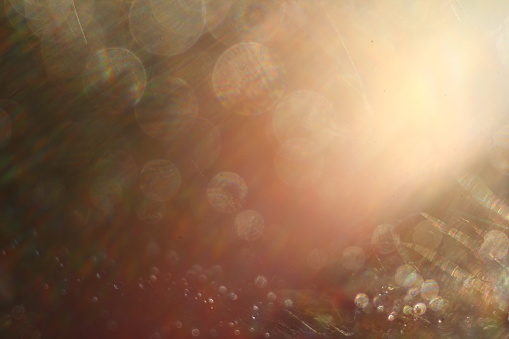 Resumen de antecedentes. Gotitas de agua sobre una tela de araña. Enfoque selectivo. Transición de luz, destello de lente, fugas de luz, rayos del sol, bokeh. photo