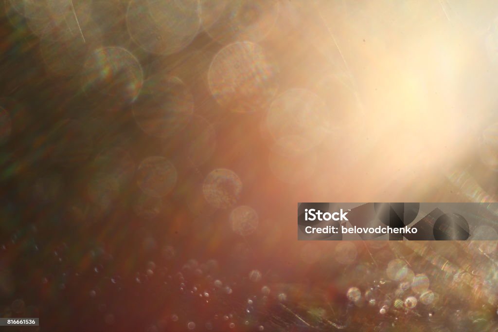 Abstract background. Water droplets on a spider web. Selective focus. Light transition, lens flare, light leaks, Sun rays, bokeh. Light - Natural Phenomenon Stock Photo