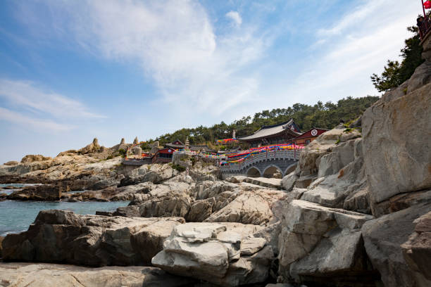 Contea Di Hadong Foto e Immagini Stock iStock