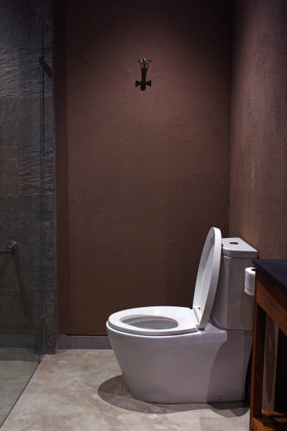istock View of modern toilet in Hotel 816674988