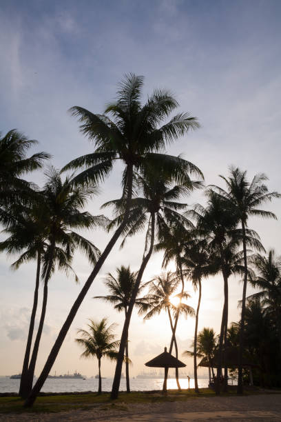istock Sentosa island, Singapore 816679806