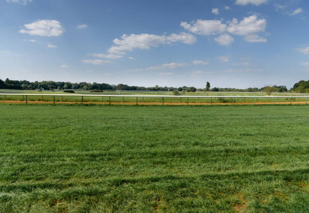Landscape of green grass hippodrome with blue sky. Turf racecourse in Germany, Magdeburg. Horse track. Green grass field. Background. View from below