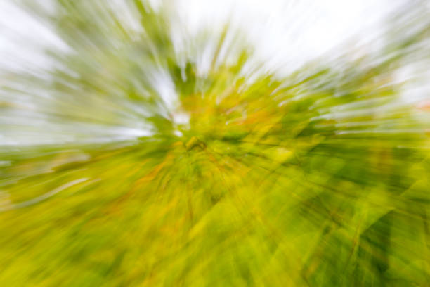 istock background of nature in motion 816697024