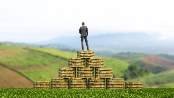 istock Businessman standing on a stack of coins. 816710922