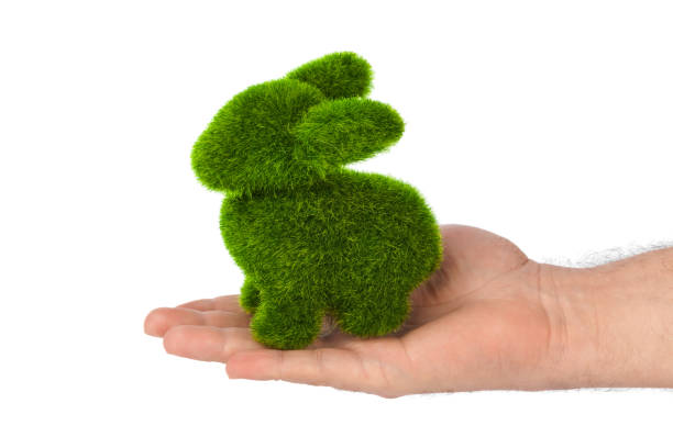 Rabbit made of grass in hand isolated on white background