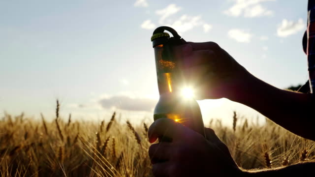Open a bottle of beer against the backdrop of the barley field at sunset. A man's hand opens a bottle, a slow motion video