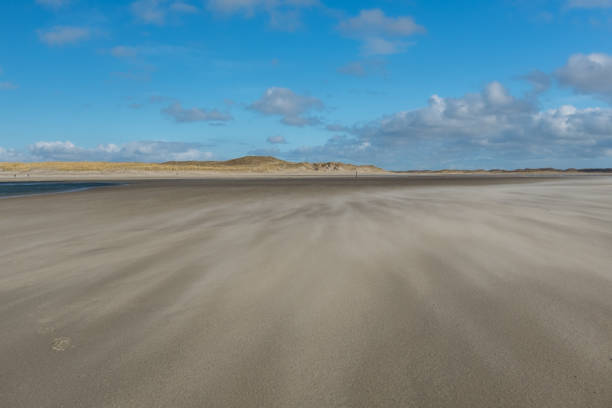 View on De Slufter, a nature reserve in Texel, the Netherlands.