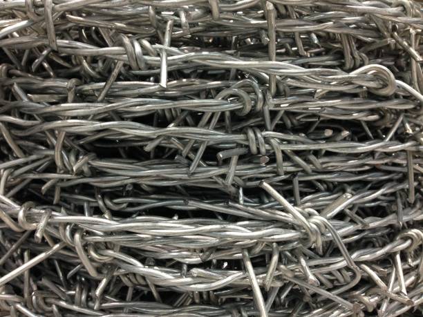 istock Metal barbed wire textured for background 816752428