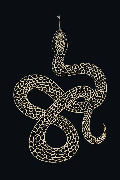 ビンテージ線蛇 - snake print点のイラスト素材／クリップアート素材／マンガ素材／アイコン素材
