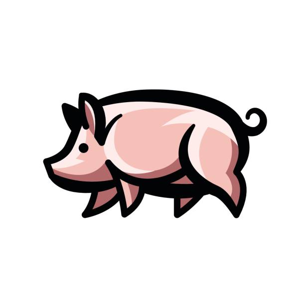 Colorful stylized drawing of pig Colorful stylized drawing of pig swine - for icon or sign template sow pig stock illustrations
