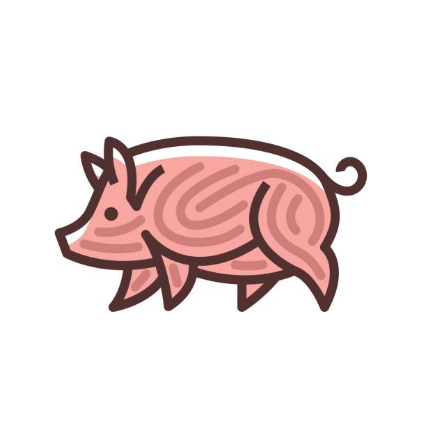 화려한 무늬의 돼지 그리기 - 암퇘지 stock illustrations