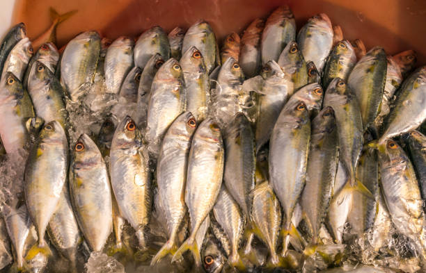 istock The fish market in Chonburi Thailand 816765992