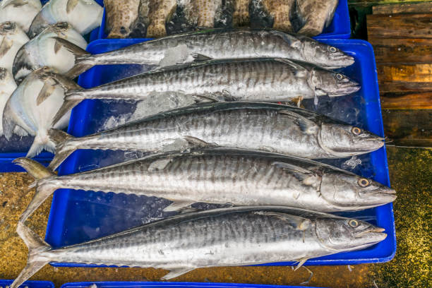 istock The fish market in Chonburi Thailand 816766148