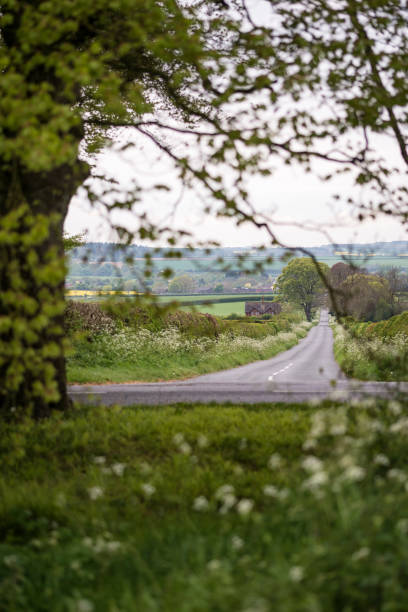 istock Beautiful English countryside landscape view through trees to fields beyond on Spring morning 816766742