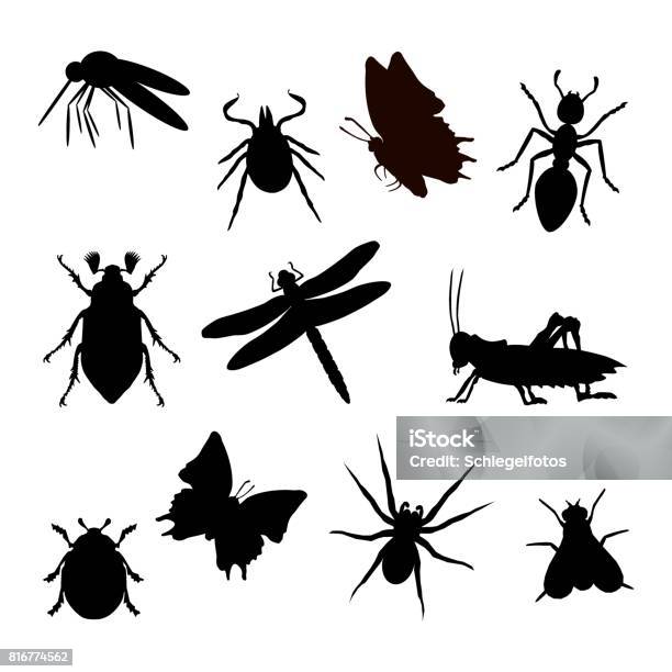 Insekt Silhouette Schwarz Vecteurs libres de droits et plus d'images vectorielles de Silhouette - Contre-jour - Silhouette - Contre-jour, Insecte, Vectoriel