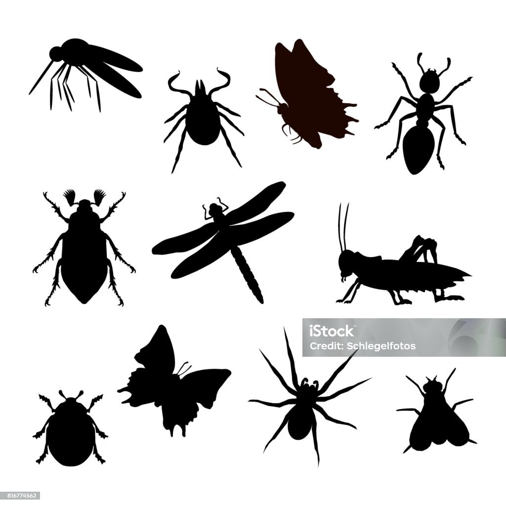 Insect silhouette black Insect silhouette black insulated white background In Silhouette stock vector