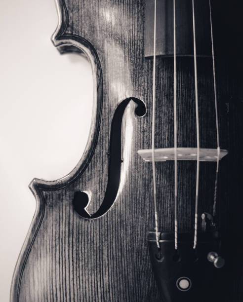 istock professional violin close-up toned photo 816774926
