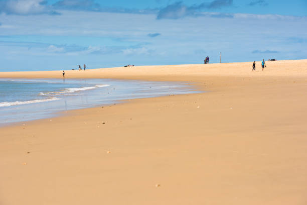 istock Sand Atlantic beach, France 816780240