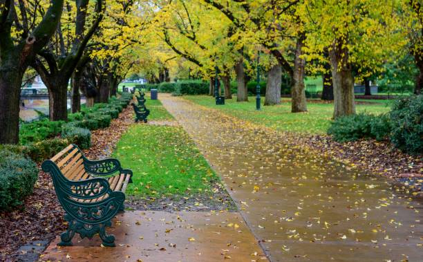 rainy park - scenics pedestrian walkway footpath bench imagens e fotografias de stock