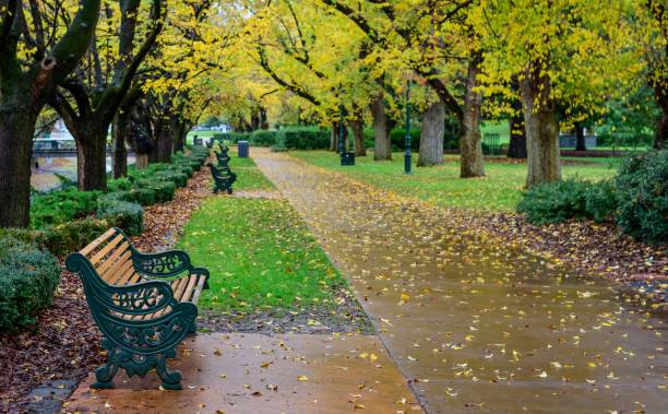 дождливый парк - scenics pedestrian walkway footpath bench стоковые фото и изображения