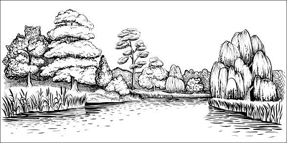 Panoramic landscape with trees and river, vector hand drawn illustration. Riverside with forest and water reflection, reed and cattail.