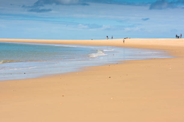istock Sand Atlantic beach, France 816790980