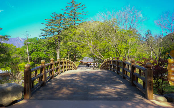 istock South Korea Trip Stock Photos 816794464
