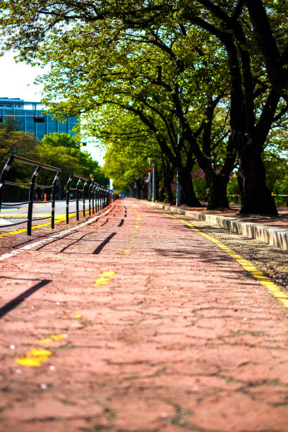 istock South Korea Trip Stock Photos 816794908