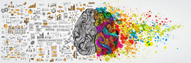 левый и правый человеческий мозг с социальной инфографикой на логической стороне. творческая половина и логика половины человеческого раз - business expertise inspiration teamwork stock illustrations