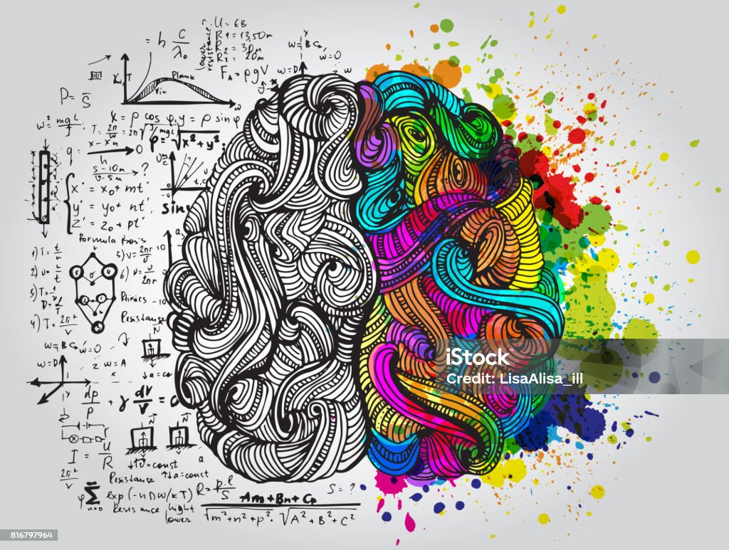 Left and right human brain. Creative half and logic half of human mind. Vector illustration. Left and right human brain. Creative half and logic half of human mind. Vector illustration isolated on white background. Creativity stock vector