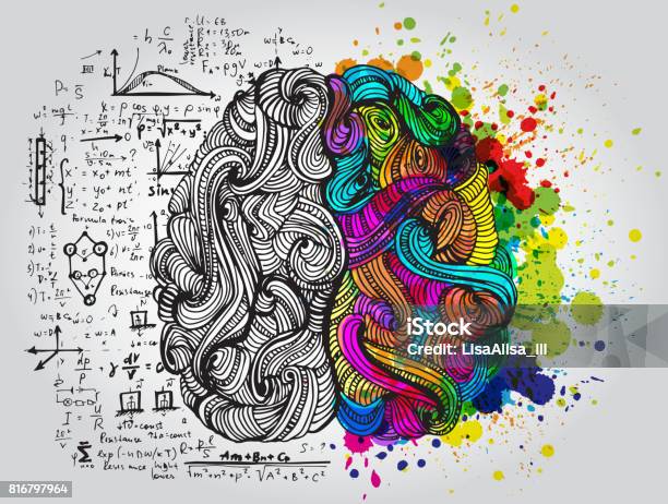 Left And Right Human Brain Creative Half And Logic Half Of Human Mind Vector Illustration Stock Illustration - Download Image Now