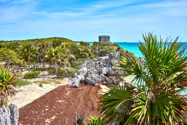 istock Ruins of Tulum 816817218