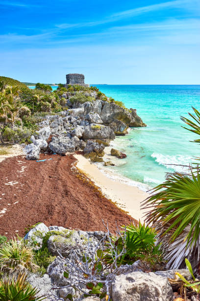 istock Ruins of Tulum 816819494