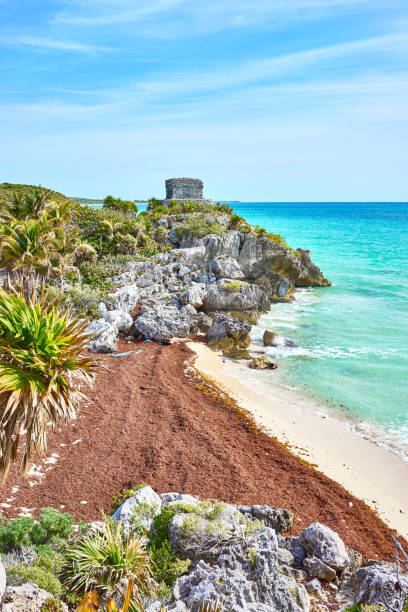 istock Ruins of Tulum 816819500