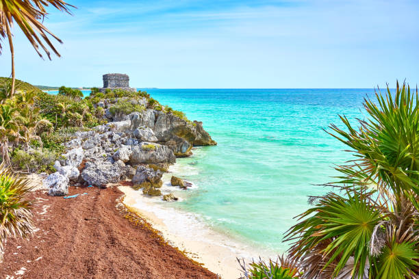 istock Ruins of Tulum 816819544