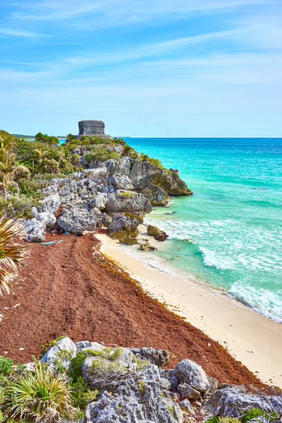 istock Ruins of Tulum 816819762